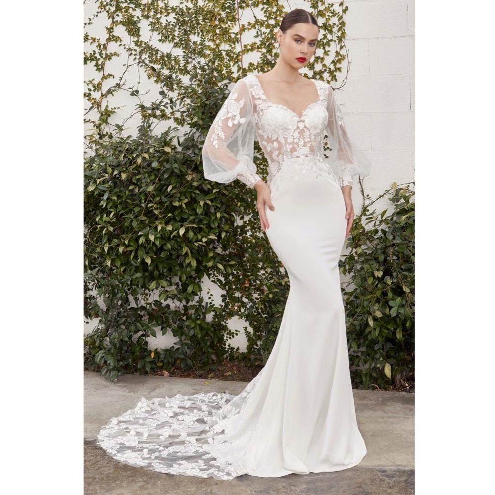 Off White Fit & Flare Long Sleeve Bridal Gown